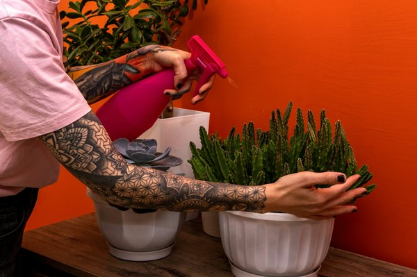 Tatouages fleur de lotus : signification et modèles tendances